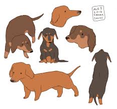 By Hamotzi On Tumblr Cute Animal Drawings Dog Illustration Dog Art