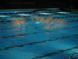 Album Natation Sarcelles 2011 Le Blog De L Asal