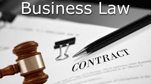 Law Meaning Definition Legal Definition Of Law By Different Authors