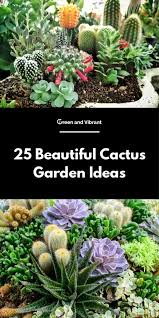 Get inspired by these 29 small backyard ideas to make the most out we gathered a plethora of beautiful and small backyards to prove it. 25 Beautiful Cactus Garden Ideas Trees Com