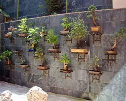 Bonsai Garden Design Bonsai Garden Indoor Bonsai Bonsai