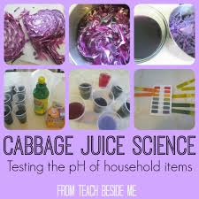 Cabbage Juice Science Experiment Teach Beside Me