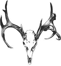 Black And White Deer Skull Tattoo Deer Skull Tattoos Tumblr Google Search Deer Skull Tattoos Deer Skull Drawing Deer Head Tattoo