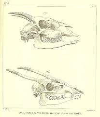 Simbol resmi untuk satuan kilogram adalah kg. Bean Coolen Coffee You Hide My Coffee But Today I Ll Tell The World