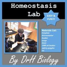 Biology Lab Homeostasis Biology Labs Biology Activity Biology Lessons