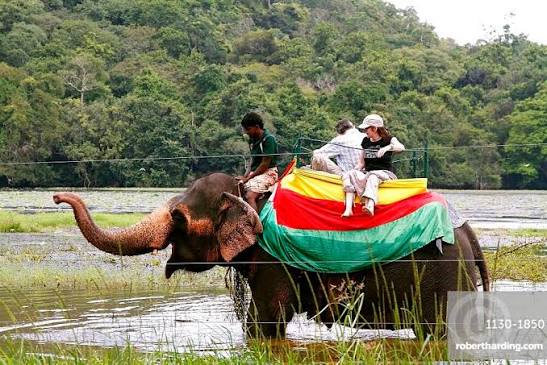 Elephant ride, Sigiriya, Sri Lanka, | Stock Photo
