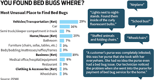 We accept credit/debit card payment as well as check and cash. Managing Pests In Apartment Buildings Pct Pest Control Technology