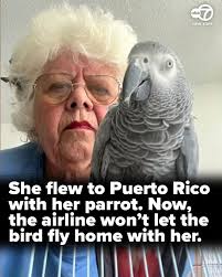 Story here 👉️ https://7ny.tv/4corJEf Fraterrigo left JFK Airport