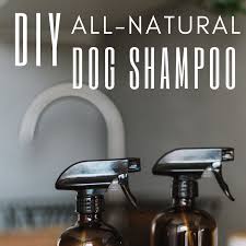 Mix in 110 g (1 cup) castile soap, 237 ml (1 cup) apple cider vinegar, 1 tsp glycerine and 1/2 tsp neem oil to the warm rosemary water. All Natural Homemade Dog Shampoo Recipe Pethelpful