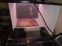 Diy In Tank Basking Platform Turtle Tank Turtle Habitat Turtle