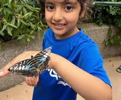 ☀️ Al-Huda Summer Camp is in full swing — where fun meets faith and  learning! From exciting field trips to hands-on STEM, your child's summer  is about to be unforgettable. July session