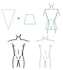 Check spelling or type a new query. How To Draw Different Body Types For Males And Females