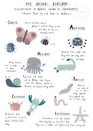 Animal Classification Posters Twin Set Animal Classification Animal Posters Animal Illustration