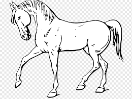 You are sure to have a great time as you get engrossed in the activity. Mustang American Quarter Horse White Black Printable Horse Outline Horse White Mammal Png Pngwing