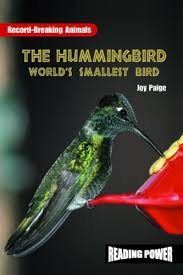 Do not hesitate to continue reading! The Hummingbird World S Smallest Bird Reading Power Record Breaking Animals Paige Joy Rosen Publishing Group 9780823959600 Amazon Com Books