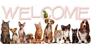 Family pet care is dedicated to serving pets and pet owners of the north alabama area including athens, madison, harvest, toney, capshaw our veterinary practice strives to provide pet parents with a useful resource that expands their knowledge about our practice, services, and more. Veterinary Services Holy Family Pet Care