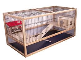 Muss ich meine meerschweinchen impfen? Meerschweinchen Kafig Fur Eine Artgerechte Innenhaltung