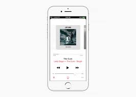 I Got Rejected By Apple Music So I Redesigned It Music Case Apple Music Music