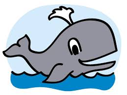 More images for whale cartoon drawing » Cartoon Sea Whale Drawing Free Image Download