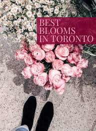 We did not find results for: 5 Fantastic Flower Shops In Toronto The Canadian Creative