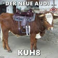Gastebuch Fahrschule Stephan Freitag Gmbh Neermoor