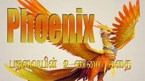 Real phoenix bird phoenix dragon phoenix bird tattoos phoenix tattoo design mythical creatures art mythological creatures magical creatures fantasy creatures mythical birds. Best Of Phoenix Bird History In Tamil Language Free Watch Download Todaypk