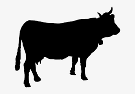 Download Cattle Cow Cowbell Silhouette Animal Farm Animal Cow Silhouette Svg Png Image Transparent Png Free Download On Seekpng