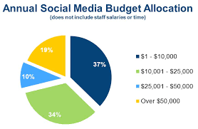 Annual Social Media Budget Allocation This Chart Shows That