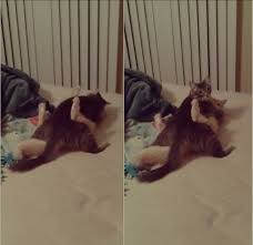 Anasını siktiğimin Furkanı son dakikalar artık 31 vakti : rKGBTR