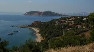 Erdoğan und die Nudisten