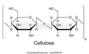 Rob gives a simple explanation. Chemical Formula Of The Cellulose The Structural Chemical Formula Of The Cellulose Polymer 2d Illustration Vector Canstock