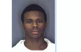 Hudson Valley Teen Pleads Guilty To Killing 2 Young Women