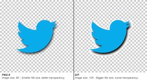 Png Vs Gif Vs Jpeg When Best To Use Png How To Make Logo Gif