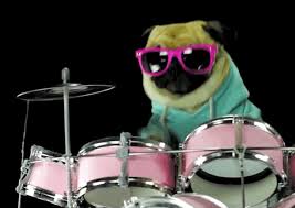 Animal decides to take over beakers show, and does the worlds craziest drum solo! Bakugo Playing The Drums Gif Novocom Top