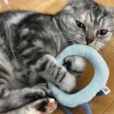 日本製 猫 おもちゃ くらげ じゃらし 猫 おもちゃ 猫 猫 スコティッシュ