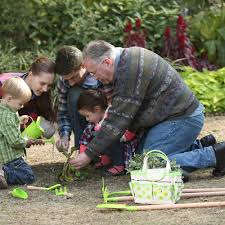 Dimensions spade l 21cm, scoop l 20cm, rake l 15cm. Garden Hand Tools Set Maxim Enterprise