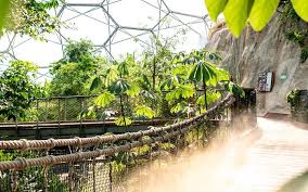 The eden project is on the site of an abandoned clay pit in cornwall and consists of two enormous domes, or biomes, and an outdoor area. Eden Project Given Permission To Use Part Of Christchurch Redzone Rnz News