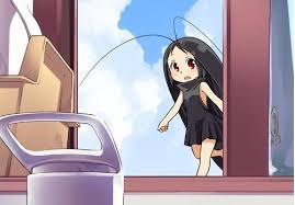 images?q=tbn:ANd9GcQlbYVyJrVQFHVVkJDuBQxsOJefuTTJaoJPOqva6Z74MXraDYeQ