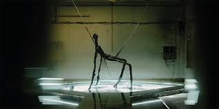 Bildergebnis für Joshua Serafin