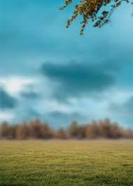High Resolution Blur Nature Background Hd Free for commercial use no attribution required high quality images. motogp 2019 2020 results news blogger