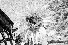 Photoshop express online photo editor. Lunapic Free Online Photo Editor Pencil Sketch