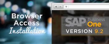 Browser Access In Sap Business One 9 2