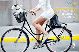 At least one hand must be kept on the handlebars at all times. The Ultimate Guide To Cycling In Singapore Gogovan Sg