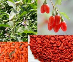 Baie De Goji Bonnes Pour La Sante Bessen Gezond Gezond Eten