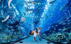 Explore Dubai Burj Khalifa Aquarium Desert Safari In 2020 Dubai Aquarium Burj Khalifa Dubai Travel