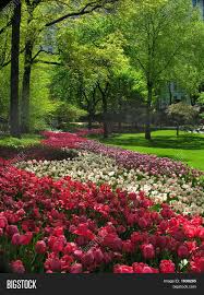 Maybe you would like to learn more about one of these? Spring Central Park Image Photo Free Trial Bigstock