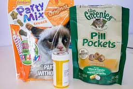 Hide the pill in wet food. How To Give A Cat A Pill Without Bleeding Do It Yourself Way