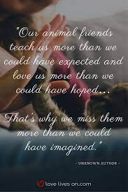 100 Best Sympathy Quotes Sympathy Quotes Pet Loss Quotes Losing A Pet