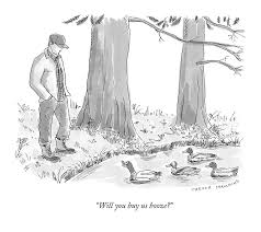 Our favorite tv and movie characters are great for a lot of things. Girl Dog Names After Cartoon Characters Hno At