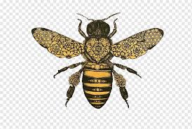 We did not find results for: Three Yellow And Black Bees Illustration Honey Bee Beehive Cute Cartoon Bee Cartoon Character Text Logo Png Pngwing